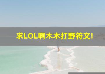 求LOL啊木木打野符文!