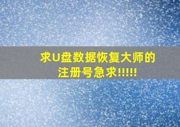 求U盘数据恢复大师的注册号急求!!!!!