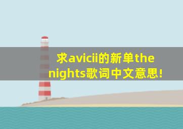 求avicii的新单the nights歌词中文意思!