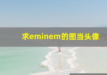 求eminem的图当头像