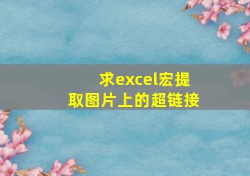 求excel宏,提取图片上的超链接