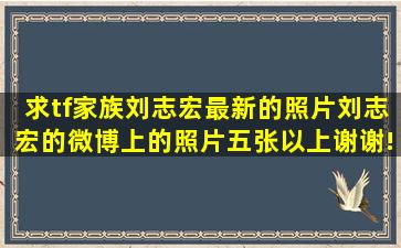 求tf家族刘志宏最新的照片,刘志宏的微博上的照片,五张以上。谢谢!