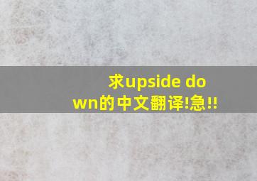 求upside down的中文翻译!急!!