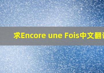 求《Encore une Fois》中文翻译