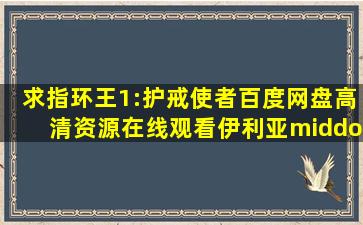 求《指环王1:护戒使者》百度网盘高清资源在线观看,伊利亚·伍德主演...