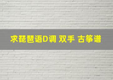 求《琵琶语》D调 双手 古筝谱