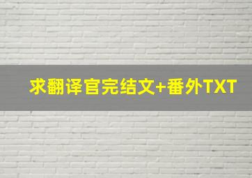 求《翻译官》完结文+番外TXT