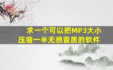 求一个可以把MP3大小压缩一半,无损音质的软件