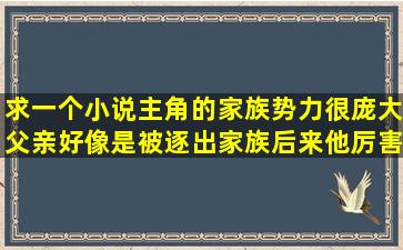 求一个小说,主角的家族势力很庞大,父亲好像是被逐出家族,后来他厉害...