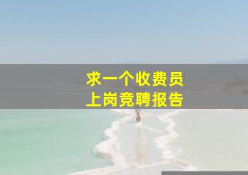 求一个收费员上岗竞聘报告