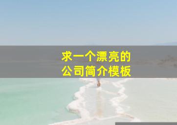 求一个漂亮的公司简介模板