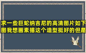 求一些巨蛇纳吉尼的高清图片如下图,我想画素描这个造型挺好的,但是...