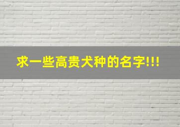 求一些高贵犬种的名字!!!