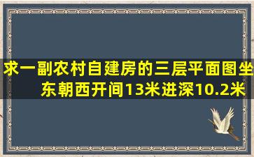 求一副农村自建房的三层平面图,坐东朝西,开间13米,进深10.2米,尺寸上...