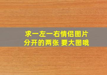 求一左一右情侣图片分开的两张 要大图哦