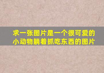 求一张图片,是一个很可爱的小动物躺着抓吃东西的图片