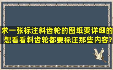 求一张标注斜齿轮的图纸,要详细的,想看看斜齿轮都要标注那些内容?