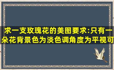 求一支玫瑰花的美图,要求:只有一朵花,背景色为淡色调,角度为平视(可...