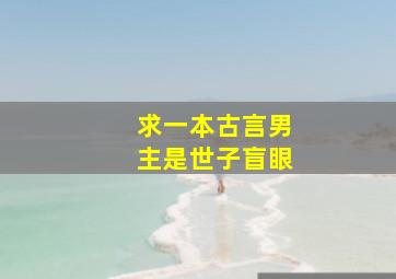 求一本古言,男主是世子,盲眼