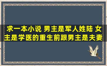 求一本小说 男主是军人姓陆 女主是学医的重生前跟男主是夫妻 却很...