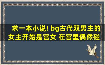 求一本小说! bg古代双男主的 女主开始是宫女 在宫里偶然碰到病弱...