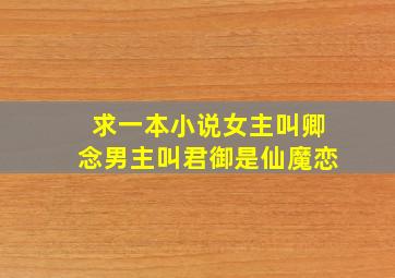 求一本小说,女主叫卿念,男主叫君御是仙魔恋