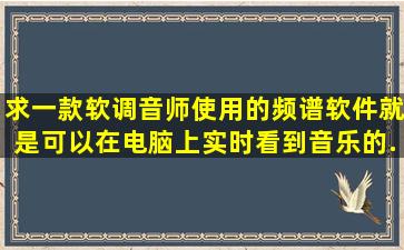 求一款软调音师使用的频谱软件。就是可以在电脑上实时看到音乐的...