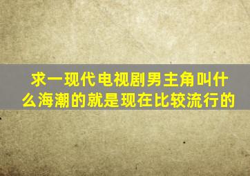 求一现代电视剧,男主角叫什么海潮的,就是现在比较流行的