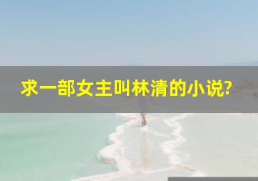 求一部女主叫林清的小说?