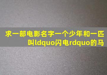 求一部电影名字,一个少年和一匹叫“闪电”的马