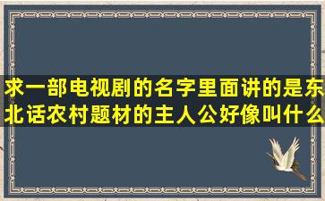 求一部电视剧的名字,里面讲的是东北话,农村题材的主人公好像叫什么...