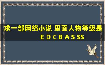 求一部网络小说 里面人物等级是E D C B A S SS 上面还有两个级别 最...