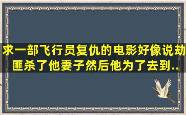 求一部飞行员复仇的电影。好像说劫匪杀了他妻子。然后他为了去到...