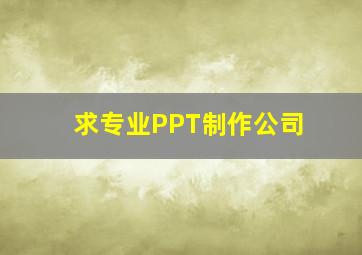 求专业PPT制作公司