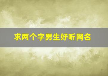 求两个字男生好听网名(