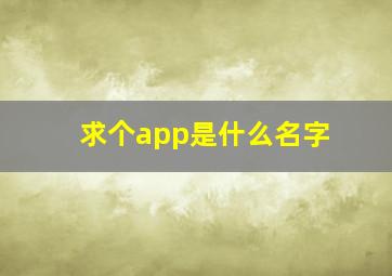 求个app是什么名字