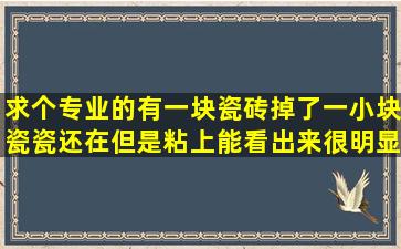 求个专业的有一块瓷砖掉了一小块瓷瓷还在但是粘上能看出来很明显