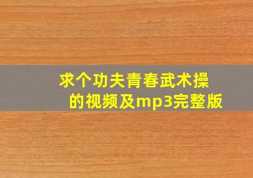 求个功夫青春武术操的视频及mp3完整版