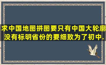 求中国地图拼图要只有中国大轮廓,没有标明省份的,要细致,为了初中...