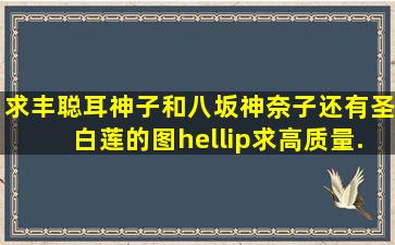 求丰聪耳神子和八坂神奈子还有圣白莲的图…求高质量._.(