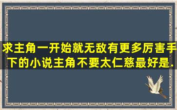 求主角一开始就无敌,有更多厉害手下的小说,主角不要太仁慈。最好是...