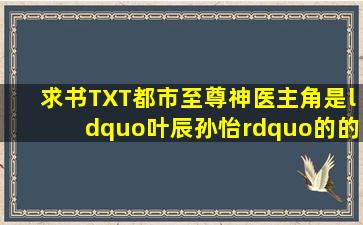 求书TXT都市至尊神医主角是“叶辰孙怡”的的都市小说名字《都市