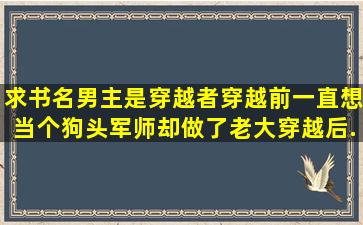 求书名,男主是穿越者,穿越前一直想当个狗头军师却做了老大,穿越后...