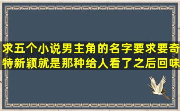 求五个小说男主角的名字,要求要奇特,新颖,就是那种给人看了之后回味...