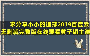 求分享《小小的追球2019》百度云无删减完整版在线观看,黄子韬主演的