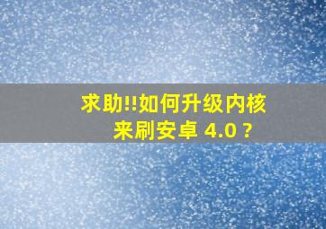 求助!!如何升级内核来刷安卓 4.0 ?