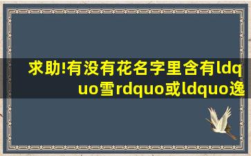 求助!有没有花名字里含有“雪”或“逸”的?