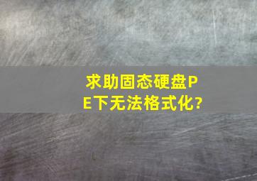 求助,固态硬盘PE下无法格式化?