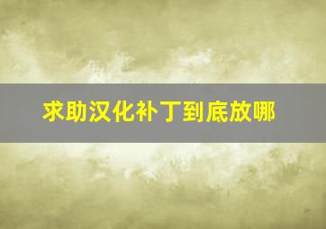 求助,汉化补丁到底放哪