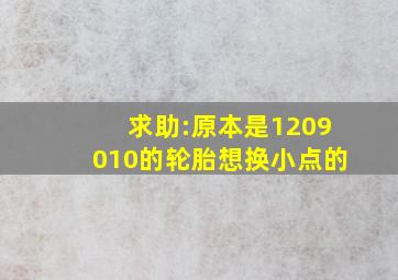 求助:原本是1209010的轮胎,想换小点的。